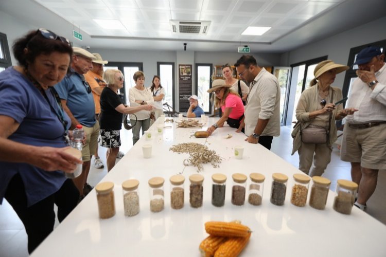 Efes Selçuk'ta agro turizm atağı -