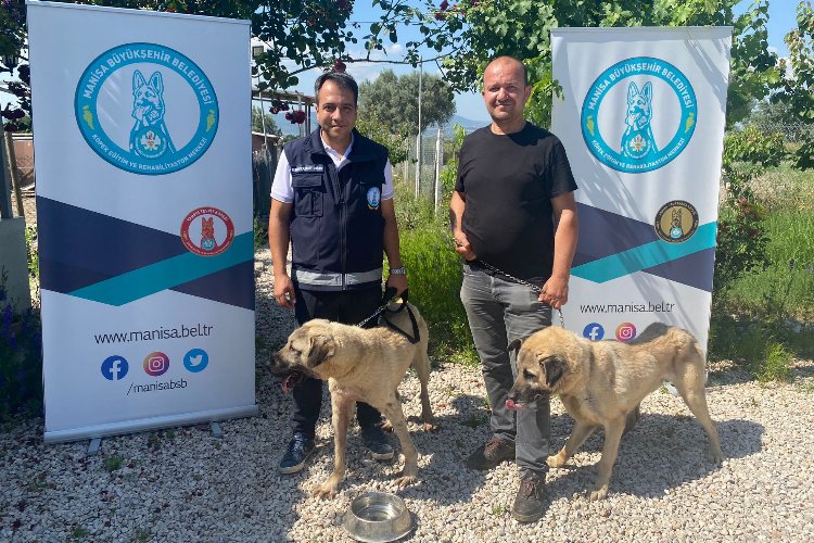 Eğitimli köpekler çiftçiye can yoldaşı olacak -