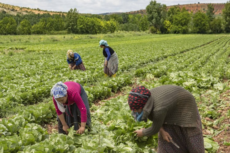 Eğitimli yerel üretici kadınların ürünlerini satışta -