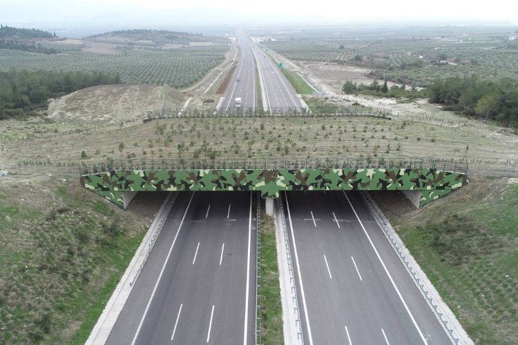 'Ekolojik Köprü'ler yaygınlaşıyor -