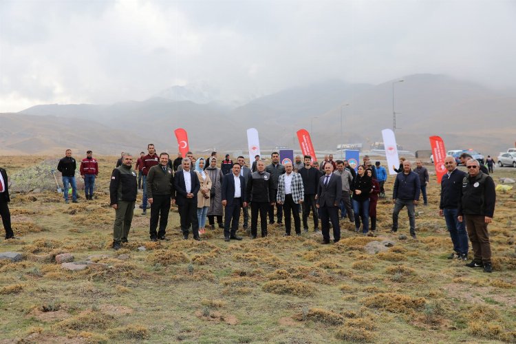 Erciyes lavantayla renkleniyor -