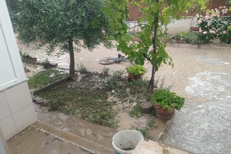 Erikli'de yazlıkçılardan isyan! -