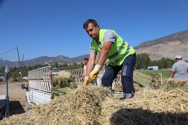 Eskişehir'de üreticilere yonca desteği -