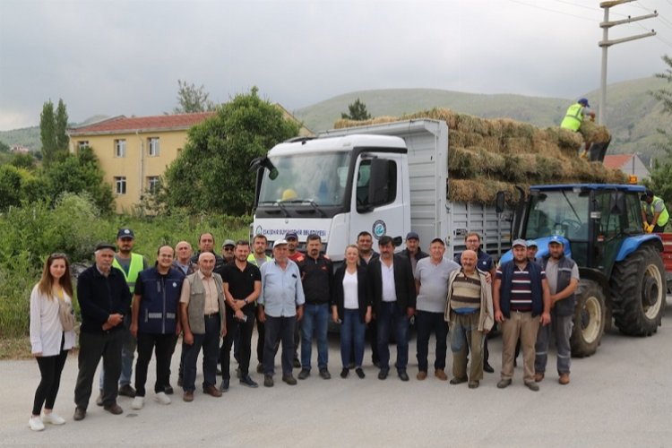 Eskişehir İnönü'de manda yetiştiricilerine balya desteği -