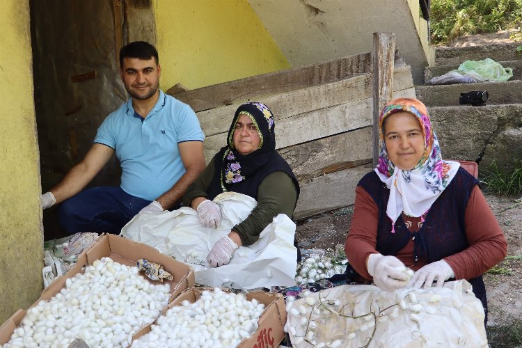 Evlerde üretilen 1 kilo kozadan 400 lira kazanıyorlar -