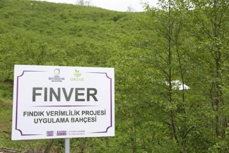 FINVER Projesi’ne TARSİM desteği -