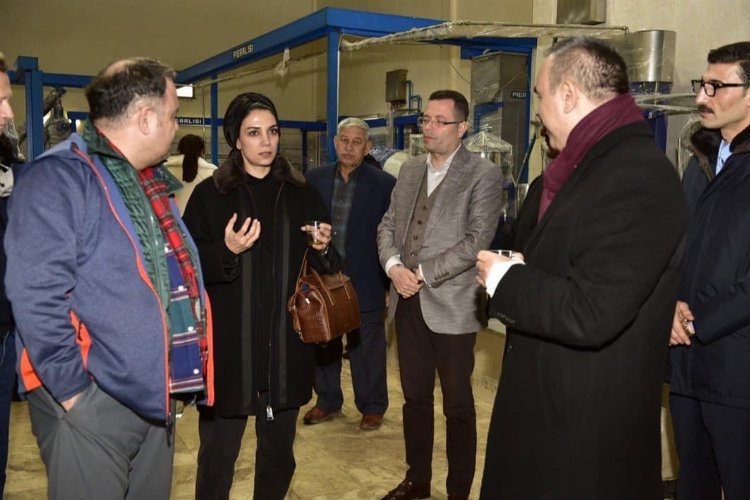 Gastronomi Uzmanları, Zeytinyağı üretim fabrikasında incelemelerde bulundu -