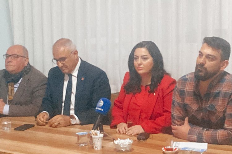 Gazeteci yazar Özge Demir CHP'den aday adaylığını açıkladı -