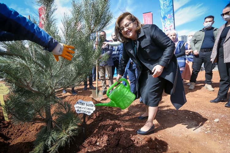 Gaziantep Büyükşehir 250 karaçam dikimi yaptı -