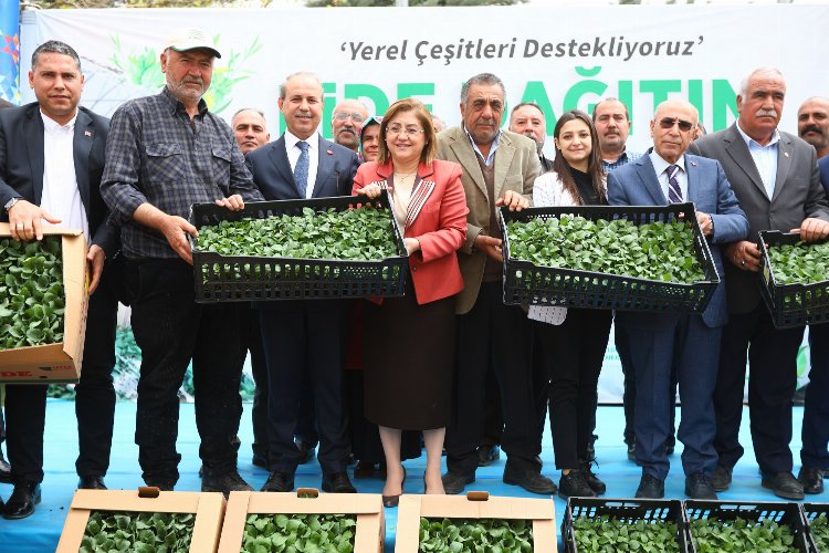 Gaziantep Büyükşehirden tarımsal üretime 2 milyon fide desteği -
