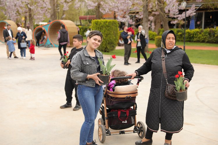 Gaziantep'te baharın müjdecisi laleler -