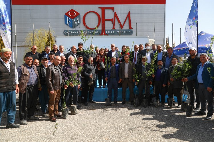 Gaziantep'te hastalığa karşı yeşil altın fıstığa besin desteği! -