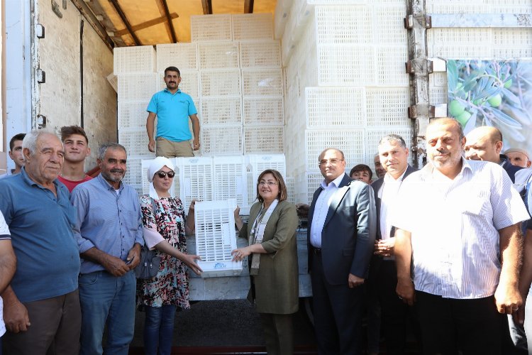 Gaziantep'te zeytin üreticilerine 40 bin adet hasat kasası -