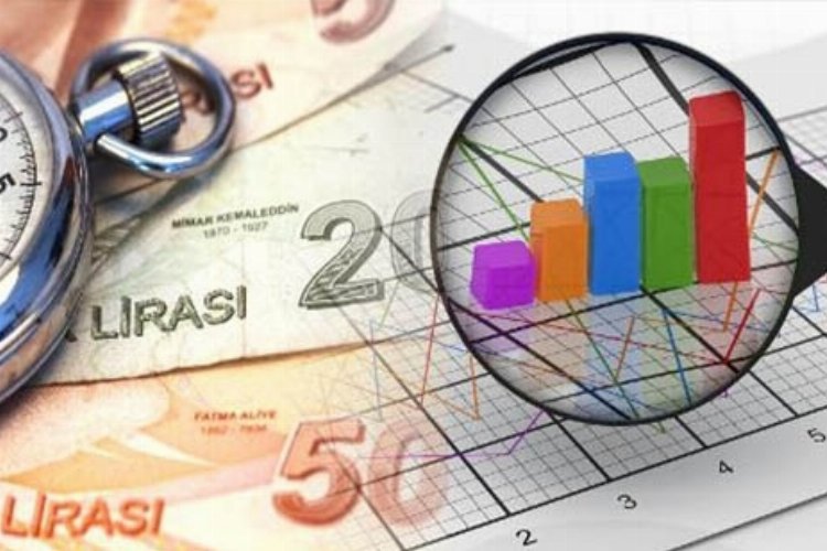 Genel devlet açığının gayrisafiye oranı yüzde 1,1 -