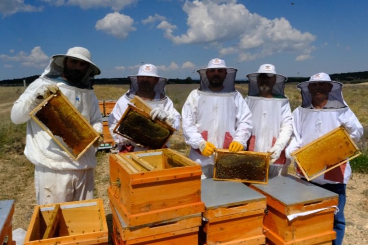 Girişimci kadınlardan bal gibi üretim -
