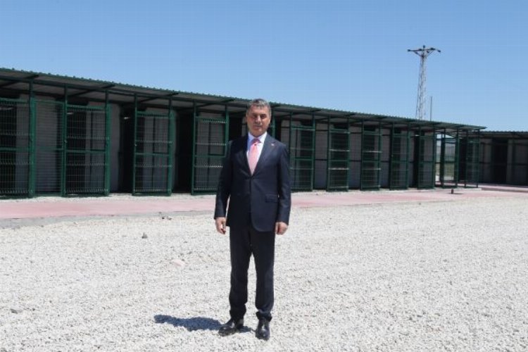Gölbaşı Geçici Hayvan Barınağı ve Rehabilitasyon Merkezi hizmete açılıyor -