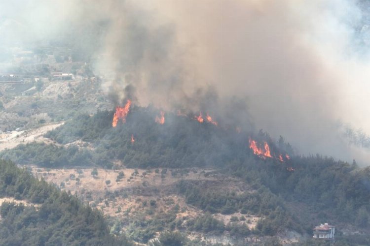 Hatay Antakya'daki yangına müdahale sürüyor -