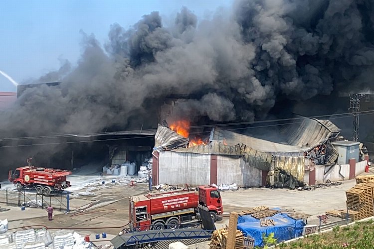 Hatay Arsuz'da antrepo yangınına müdahale sürüyor -