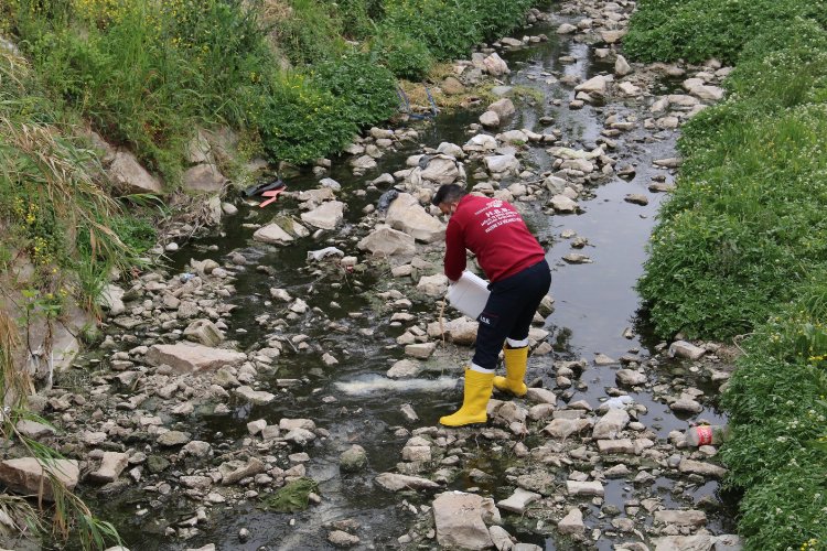 Hatay Büyükşehir ekipleri insan ve çevre sağlığı için çalışıyor -