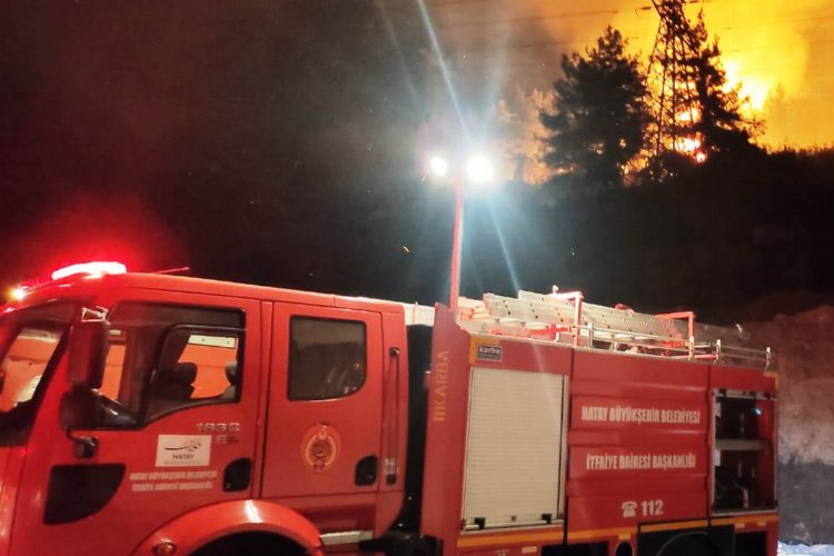 Hatay'da orman yangını -
