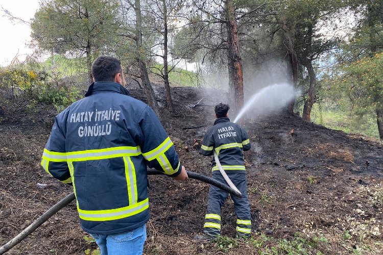 Hatay'daki orman yangını gönüllü itfaiyeciler söndürdü -