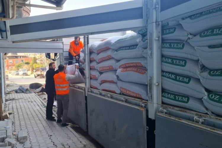 Hayvan üreticilerine yem desteği -
