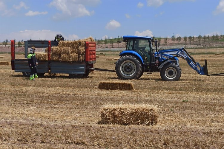 Hayvan yetiştiricilerine ücretsiz yem -