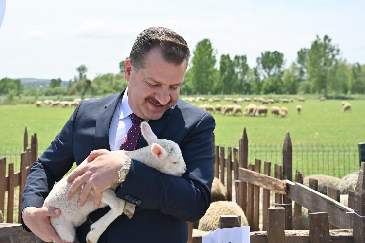 Hayvancılık atağı başladı -