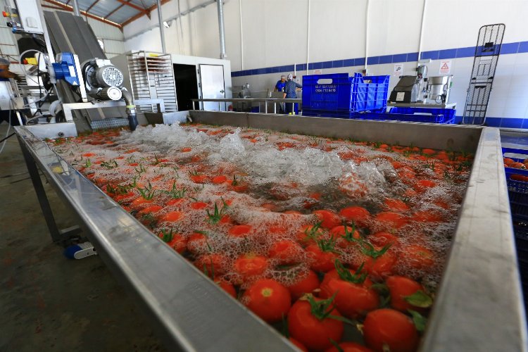 Hem üretici, hem Muğla 'kurutarak' kazanıyor -