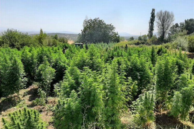 İçişleri Diyarbakır'ı kenevir 'Abluka'sına aldı -