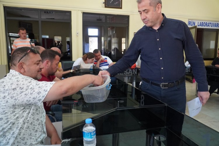 İlk ayçiçeği ürünü kilosu 24,50 TL’den alıcı buldu -