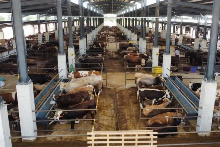 İnegöl Hayvan Pazarı Kotra ihale tarihi açıklandı -