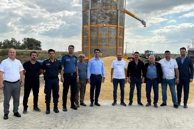 İpsala'da çeltik hasadı başladı -