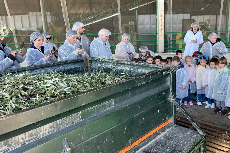 İspanyollardan Türk zeytin zeytinyağına yoğun ilgi -