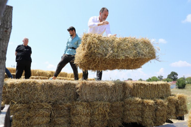 İstanbul Silivri'de üreticiler çifte bayram yaptı -