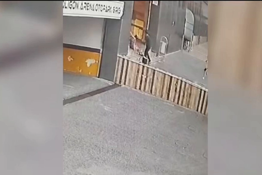 İstanbul Tuzla'daki otoparkta çocuğa yumruklu saldırıya tutuklama! -