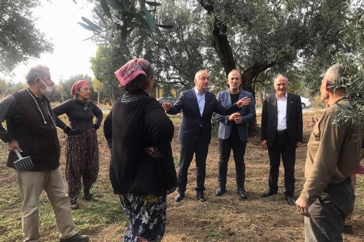 İYİ Partili Tatlıoğlu Bursa'da zeytin üreticilerine ses oldu -