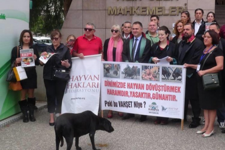 İzmir Bayındır'da hayvan katliamı iddiası -