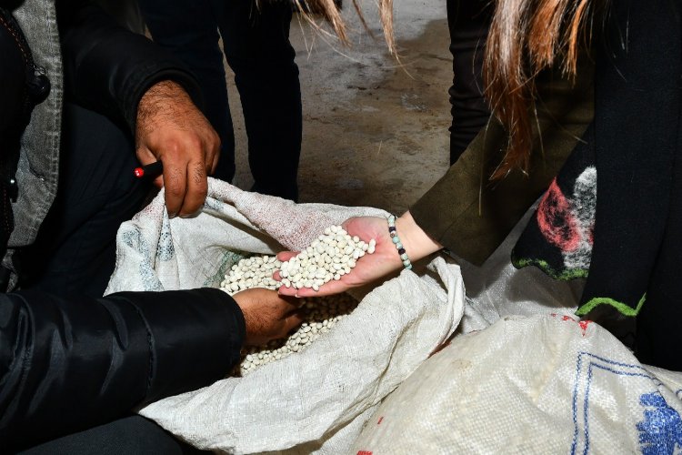 İzmir'de yerli kuru fasulyeyle 1,5 milyon liralık destek -