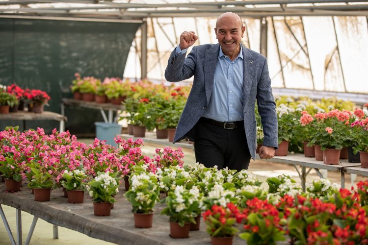 İzmir'in gurur günü... Bademler’in çiçekleri Hollanda’da satışa sunuldu -