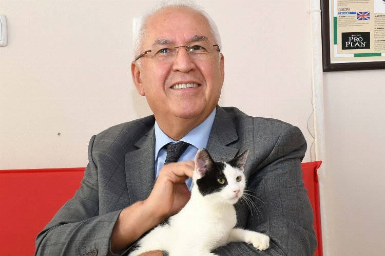 İzmir Karabağlar'da can dostlara yakın ilgi -