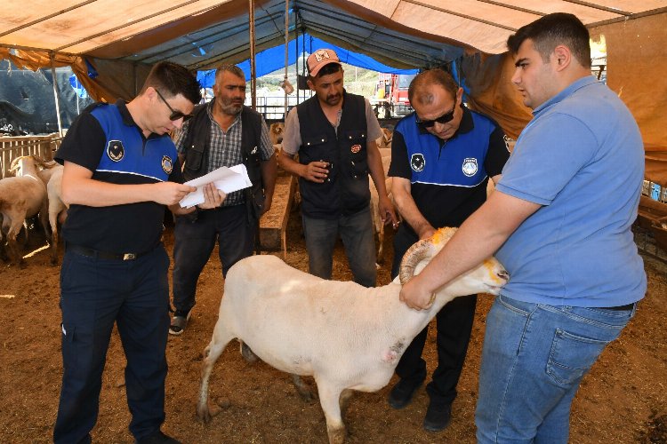 İzmir Karabağlar'da 'kurban' denetimleri -