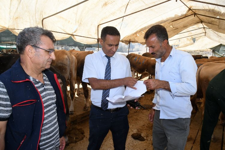 İzmir Karabağlar'da kurban satış yerlerine denetim -