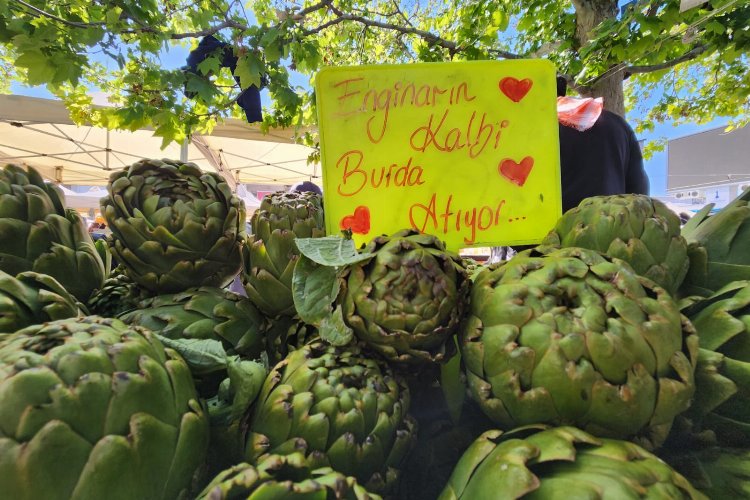 İzmir Urla enginara doydu -