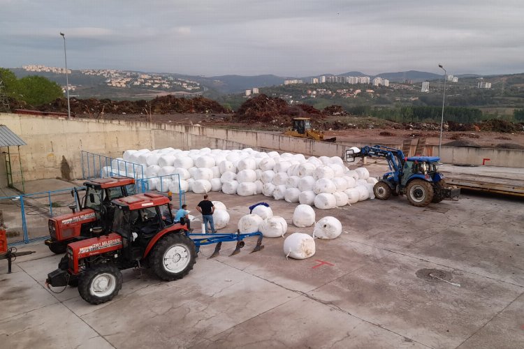 İzmit Belediyesi, ürettiği silajları üreticilere ücretsiz dağıtacak -