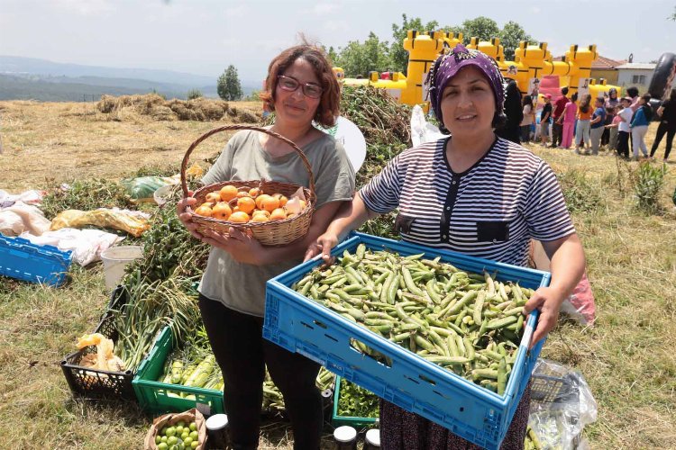 İzmit Dağköy’de araka hasat şenliği -