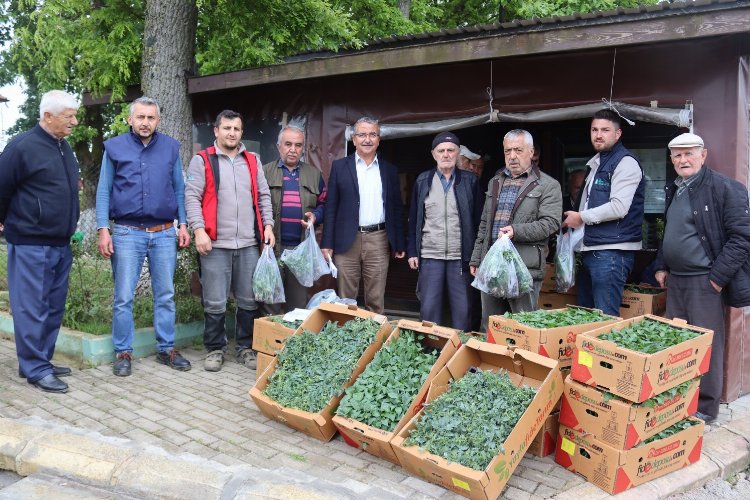 İzmit'te fideler kırsala dağıtılıyor -