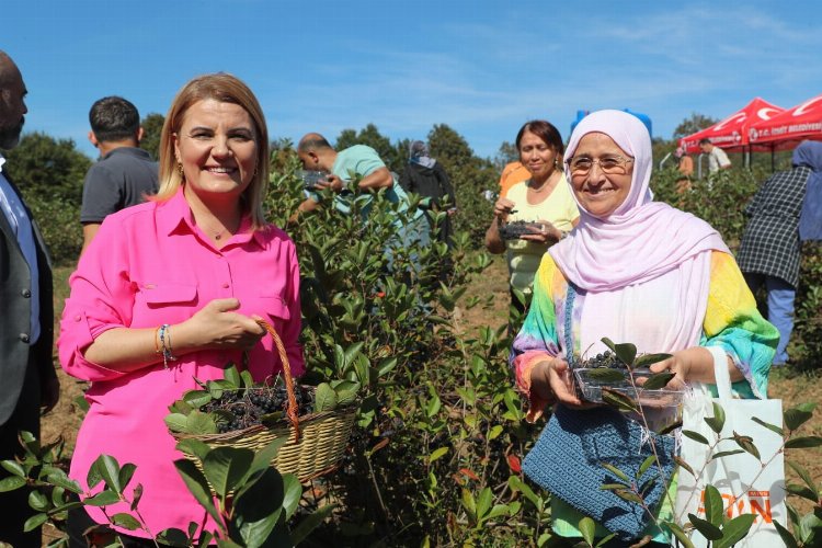 İzmit’te süper meyve aronya hasadı mutluluğu -