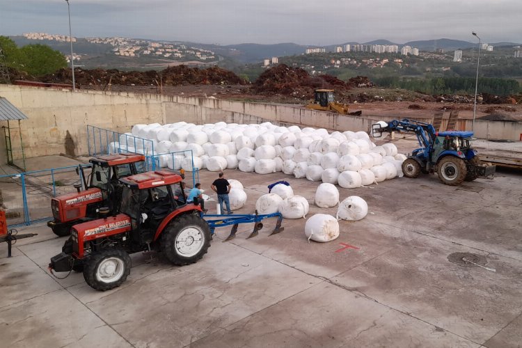 İzmit'te yüzde 100 hibeli silaj başvurularını uzattı -