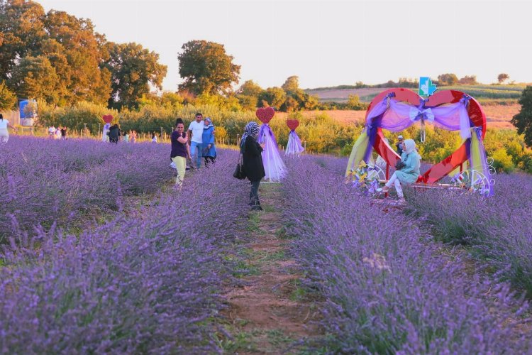 İzmitliler Lavanta Şenlikleri'nde buluştu -